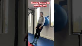 Tibialis Raises with Stability Ball [upl. by Nylime]