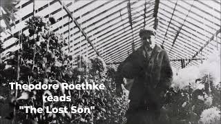 THEODORE ROETHKE reads quotThe Lost Sonquot [upl. by Lukey]