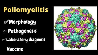 poliomyelitis  polio virus  polio [upl. by Anuahsal852]