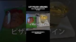 【搭乗記】LOTポーランド航空｜ワルシャワ  ブリュッセル｜エコノミークラス shorts [upl. by Philander]