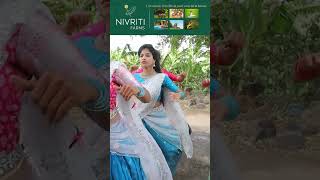 Yeme Pilla DJ Version BTS Video  Yamini  Latest Folk songs yemepilla aadhyareddy makingvideos [upl. by Hadias938]