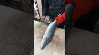 Barramundi fish cutting  how to clean barramundi [upl. by Manara102]