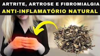 🟠ERVA BALEEIRA  Antiinflamatório Natural para ARTRITE ARTROSE e FIBROMIALGIA Use assim [upl. by Aer]