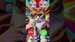 catcalling ringtone nadaderingtelepon cat [upl. by Sinaj]