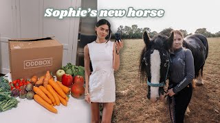 FAMILY VLOG meal prepping for the week  meeting Sophies new horse 🍂 fall vlog 2024 [upl. by Maidie364]