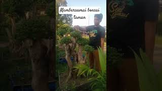 Membersamai Bonsai Taman Wahong Sancang [upl. by Yraillih]