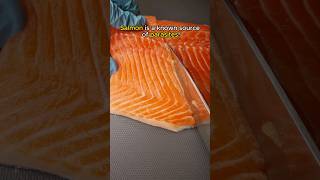 Parasites in Raw Salmon [upl. by Audun496]