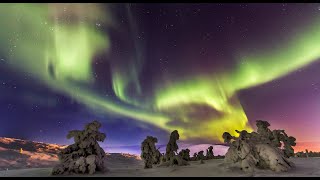 Auroras boreales Laponia Finlandia Aurora polar luces del norte  aurora polaris Rovaniemi Turismo [upl. by Aleahc592]