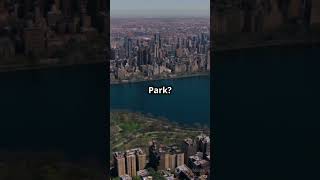 Mind Blowing Facts About NYC shorts shortsvideo NYC NY manhattan halloween movenewyorkcity [upl. by Golding]