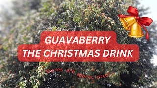 Guavaberry Juice  The Caribbean Christmas Drink [upl. by Naejarual282]