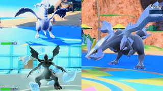 Pokémon Scarlet amp Violet Kyurem Vs Reshiram amp Zekrom Battle of Unova Legendary  Stellar [upl. by Etteb]