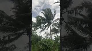 Windy  Bagyong Kristine  Bohol storm kristineph [upl. by Siskind85]