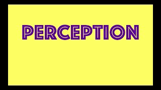 Perception  Definition  Factors  Process  Organisational Behaviour [upl. by Celestyn]