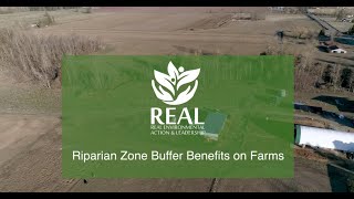 Riparian Zone Buffer Benefits on Farms [upl. by Nessim673]