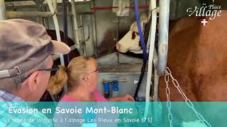 🔴En Direct Évasion en Savoie MontBlancL’heure de la traite à l’alpage Les Rieux en Savoie [upl. by Yriek685]