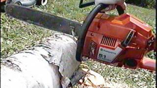 Husqvarna 51 Chainsaw Start Up amp TEST CUT [upl. by Urd74]