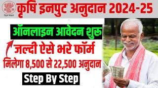 Bihar Krishi Input Anudan 202425 Online Apply  Bihar Krishi Input Anudan Form Kaise Bhare 202425 [upl. by Barbarese340]