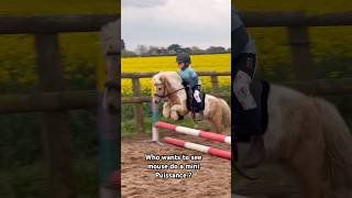 Mouse doing a mini puissance horse equestrian showjumping horsefan pony horseriding [upl. by Ynafetse245]