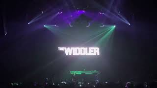 The Widdler  Live  Mission Ballroom 2024 [upl. by Adah]