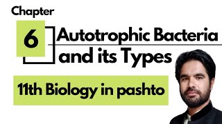 Autotrophic Bacteria  Photoautotrophs  Chemoautotrophs  11th Biology in pashto [upl. by Kwok41]