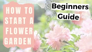 How to Start a Flower Garden for Beginners  Home Gardening for Beginners Flowers [upl. by Delle]