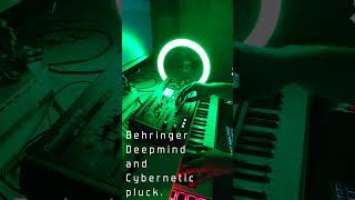 Behringer Deepmind and Cybernetic pluck [upl. by Pollak]