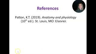 McDonald Diencephalon Brainstem amp Cerebellum Part 2 [upl. by Ahsait942]