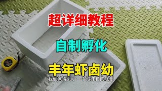 孵化丰年虾最详细的教程，虾壳自动分离，不用打氧 [upl. by Fesoy58]