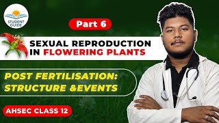 Sexual Reproduction in Flowering PlantsPOST FERTILISATION Chapter 1 Biology HS Class 12  Ahsec [upl. by Jaco]