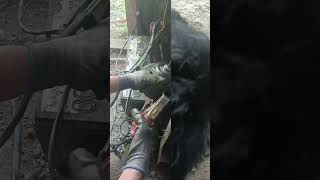 Testing Motorcycle Starter armandelectrical SsD shortsvideo [upl. by Iman861]