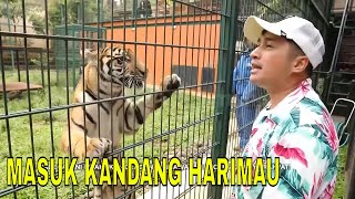 Asisten Raffi Ahmad Ditantang Untuk Berinteraksi Dengan Harimau  FYP 040324 Part 4 [upl. by Swen]