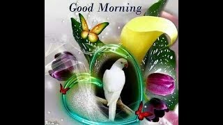 GOOD MORNING video  Whatsapp Wishes Quotes Message Greetings [upl. by Aelsel]