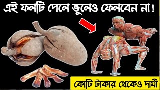 ফলটির মধ্যে লুকিয়ে আছে গোপন কাজ  পাবেন বাড়ির পাশেই মেহগনি গাছের ফলের উপকারিতা [upl. by Odlavso968]