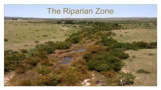 Remarkable Riparian Lesson 2 Defining Riparian [upl. by Acinnod]