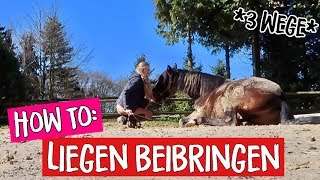 HOW TO Hinlegen auf Kommando ☆3 Wege☆ So kannst du deinem Pferd das Liegen beibringen [upl. by Luap]