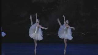 Swan Lake Act II  Big Swans Dance [upl. by Occer]