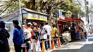 立ち食い屋台に延々と大行列！京橋とよの朝の仕込みに密着！izakaya Toyo in Kyobashi 쿄바시 토요 [upl. by Nauqyt529]