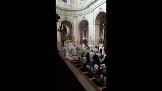 Ordinations sacerdotales de Danijel Mladineo et Martin Chauvet [upl. by Dadinirt506]