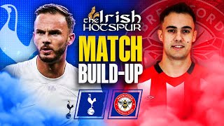 TOTTENHAM vs BRENTFORD  MATCH DAY LIVE  PREMIER LEAGUE [upl. by Ddarb]