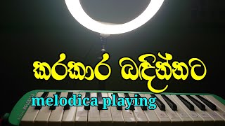 කරකාර බඳින්නට song melodica playingsong [upl. by Eirruc]