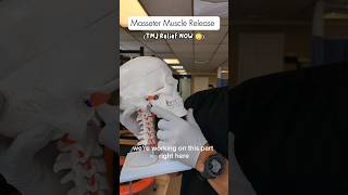 Finally Showing You Masseter Muscle Release 😱 [upl. by Llecrep]