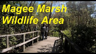 Magee Marsh Wildlife Area September 2020 [upl. by Derrick]