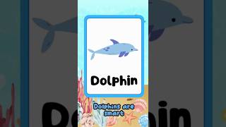 Dolphins are smart  Sea Animals  Marine Life [upl. by Tnilf253]