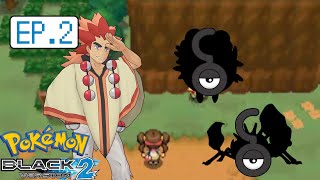 Pokemon Black 2 Onwards to Floccesy Ranch Randomizer Nuzlocke EP 2 [upl. by Sibylla]