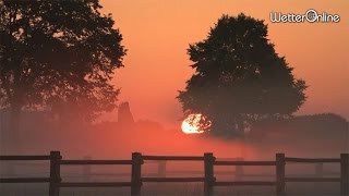 Was für ein Sonnenaufgang [upl. by Bobbe]