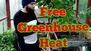 How to Use A Hotbed  How To Heat A Greenhouse for Free  Winter Growing PART 2 [upl. by Estella]