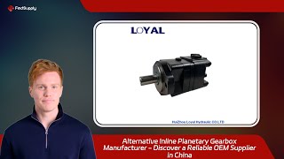 Alternative Inline Planetary Gearbox Manufacturer  Discover a Reliable OEM Supplier in China [upl. by Marietta]