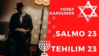 Tehilim 23 subtítulos Español  Hebreo  fonetica Yosef Karduner Salmo 23 [upl. by Tessie]