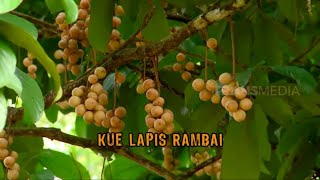 Kue Lapis Rambai  JEJAK ANAK NEGERI [upl. by Dryfoos]