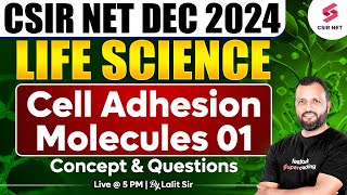 CSIR NET DEC 2024  Life Science  Concept And Questions  Cell Adhesion Molecules  01Dr Lalit Pal [upl. by Eivets]